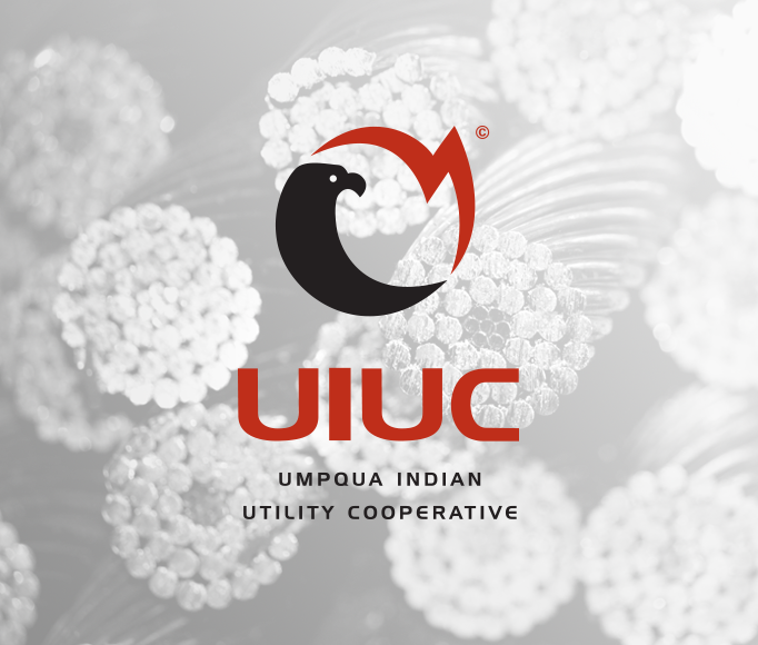 uiuc-logo3