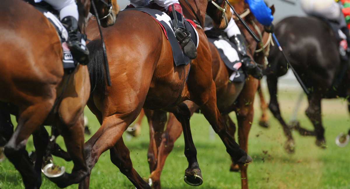 The billionaire coffee stand owner behind the Flying Lark in Grants Pass says he thinks Oregon’s Tribes could co-partner with him to sustain the horse racing track and entertainment facility.