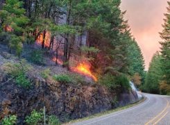 Wildfire season may have been delayed, but it’s here now
