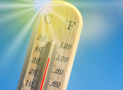Prepare for Coming Heat Wave in Umpqua Valley