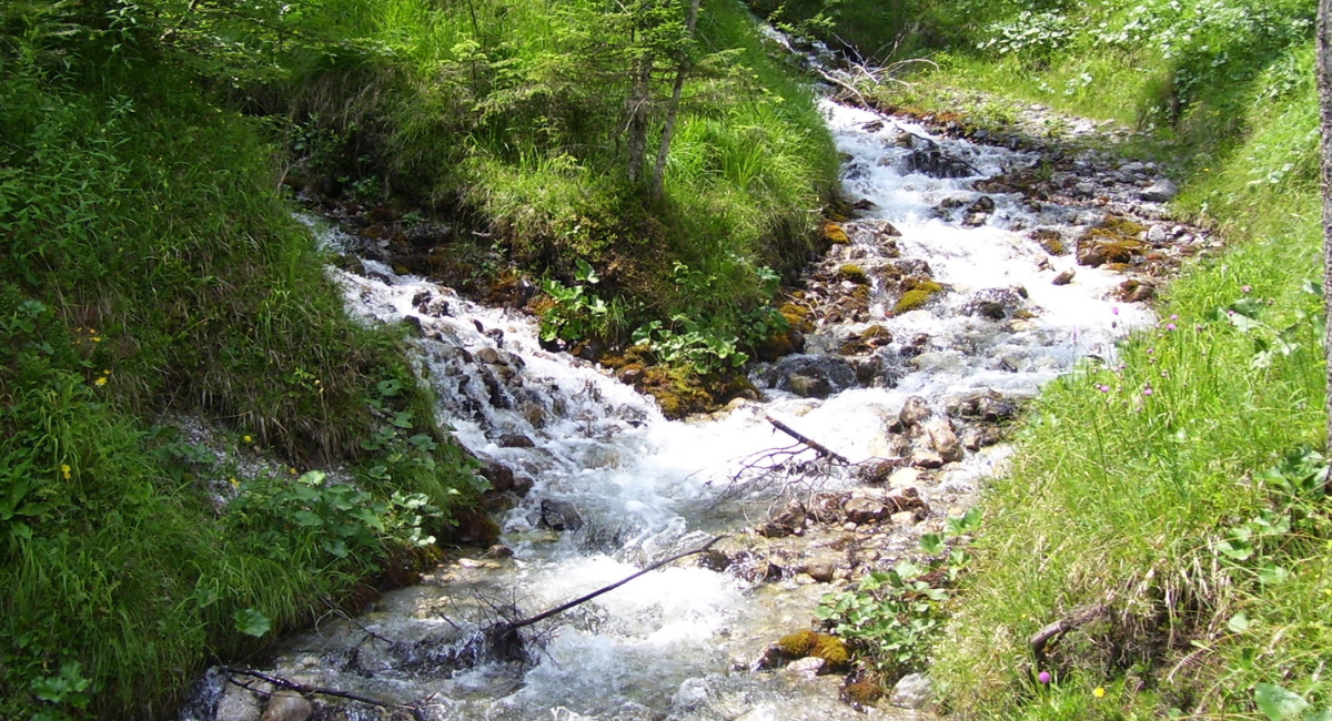 Sites in Oregon Renamed for Cow Creek Umpqua Culture