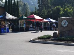 Tribal Programs Host Community Health Fair