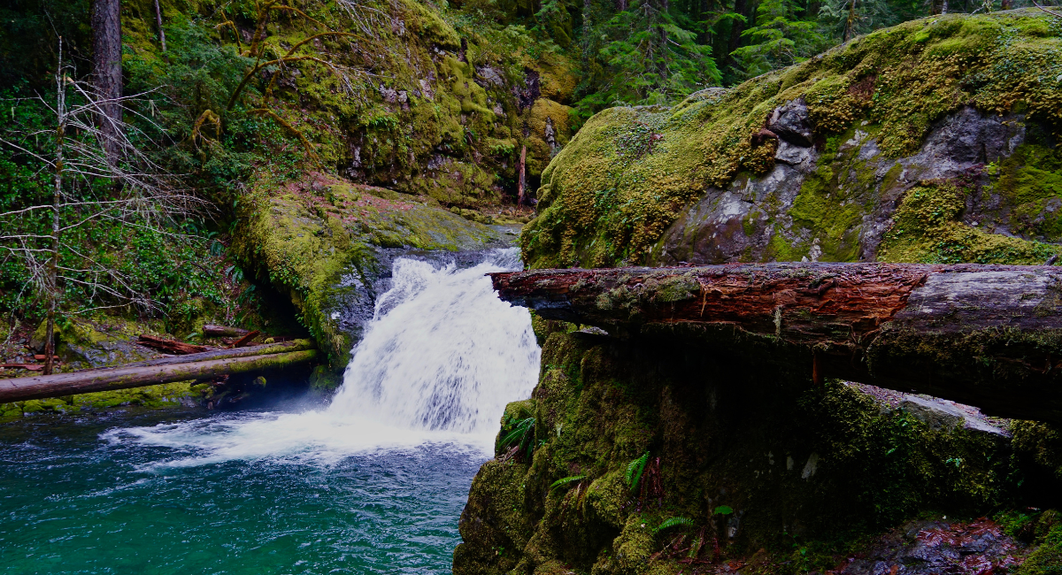 The Cow Creek Band of Umpqua Tribe of Indians has signed two agreements with the U.S. Department of Agriculture Forest Service, allowing co-management of Oregon’s Umpqua National Forest.