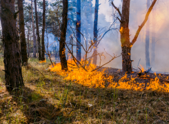 Fire Season Comes to An End