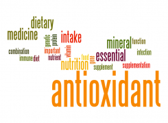 Understanding Antioxidants: What They Are and Why They Matter