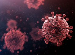 An Update on COVID-19
