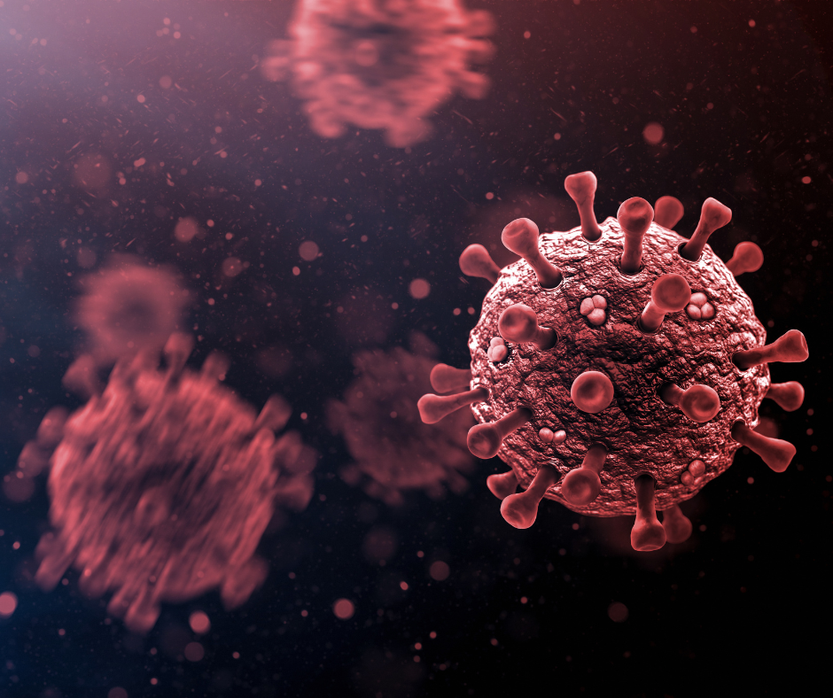 The Centers for Disease Control (CDC) predicts that there will be a summer wave of COVID-19 cases due to a new strain of the coronavirus.