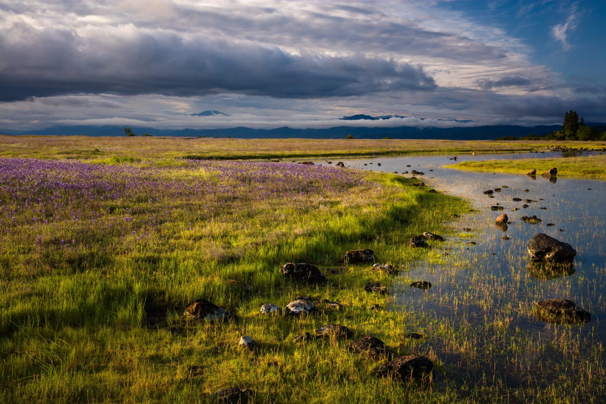 BLM Ruling Opens Doors for Tribal Land Stewardship