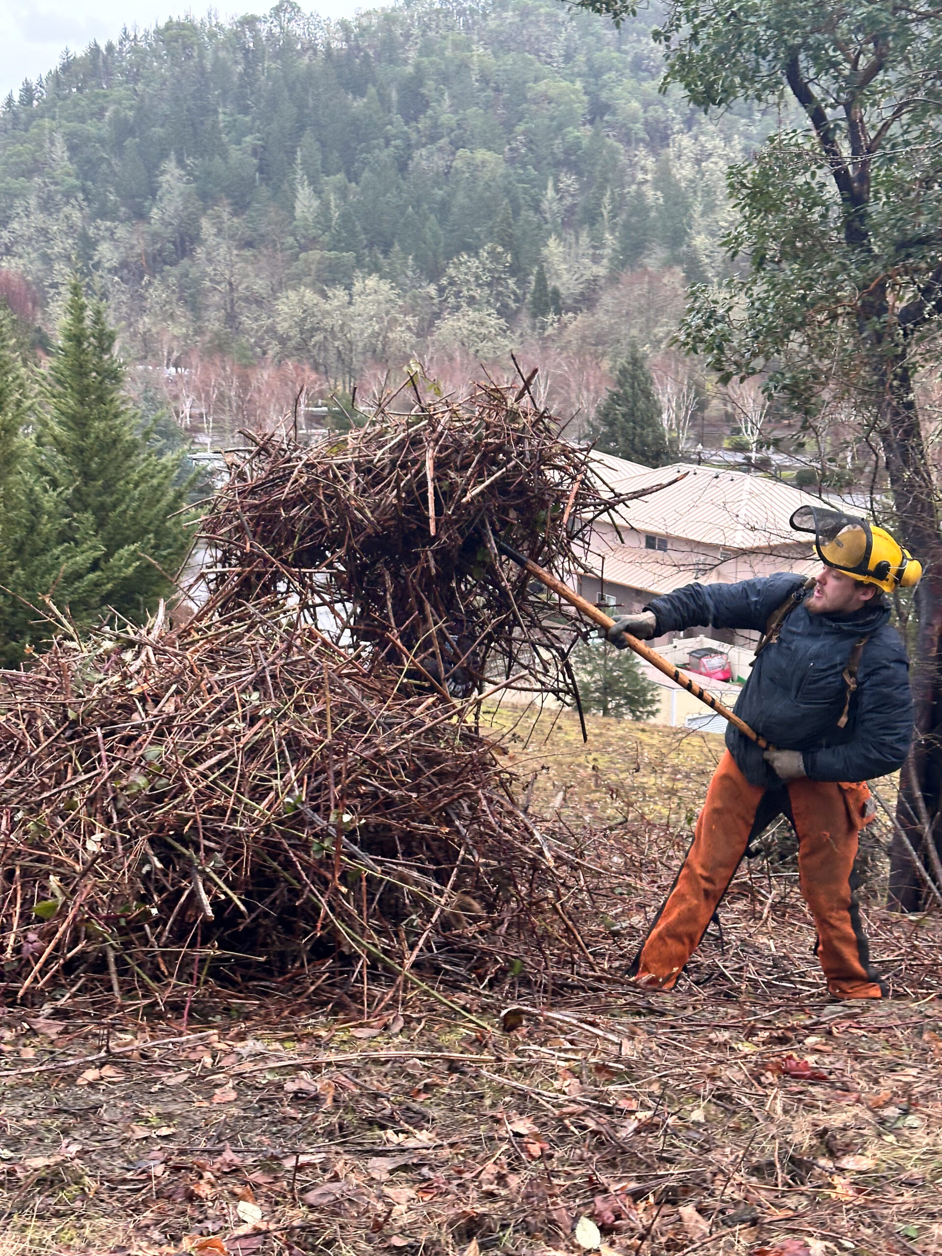 Thanks to the hard work of a crew from Phoenix School in Roseburg, a large area near Seven Feathers RV Resort in Canyonville has been treated to help mitigate or reduce impacts from wildfire.