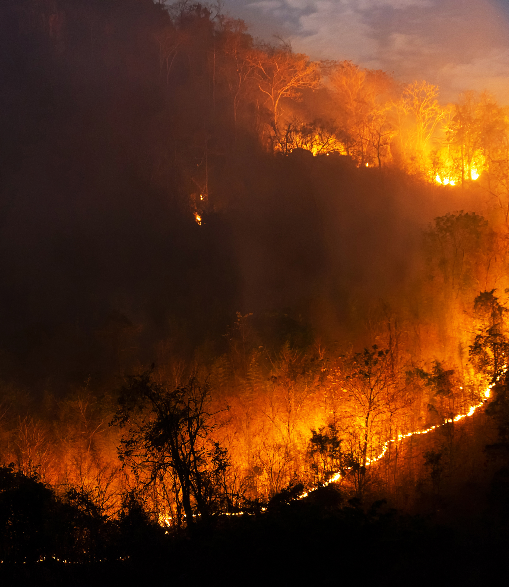 Wildfire Season Preparedness at UIUC