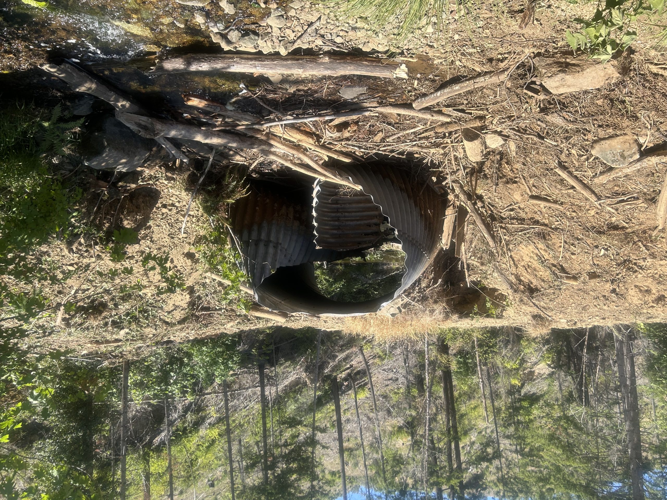 West Fork Canyon Creek Culvert Removed