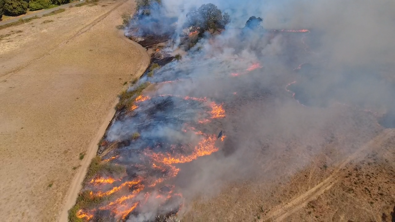 Prescribed Burn Clears Overgrowth at Lilja Property