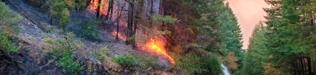 Wildfire season may have been delayed, but it’s here now