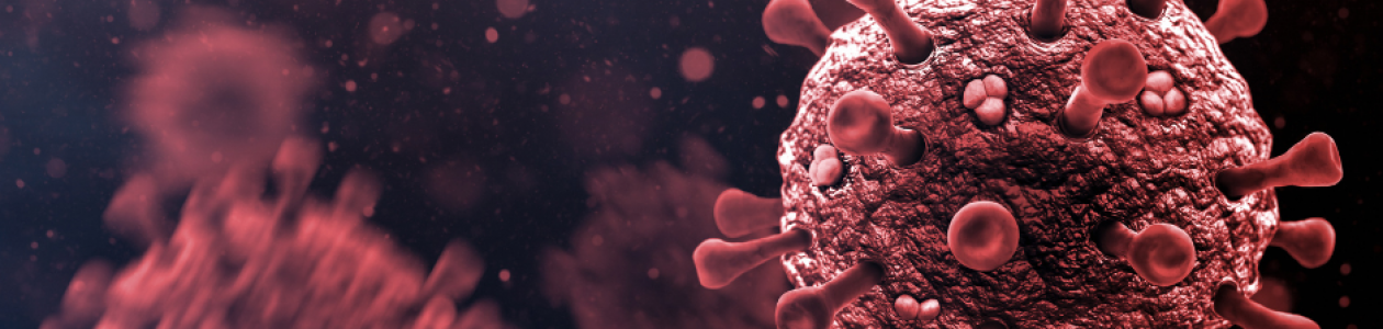 An Update on COVID-19