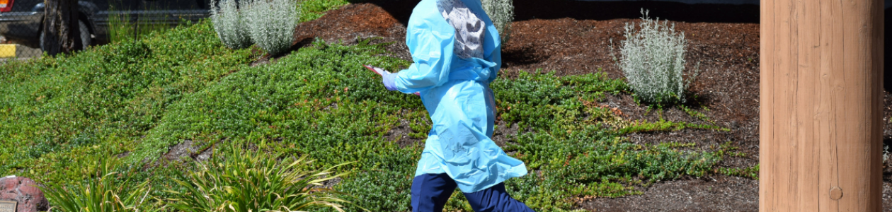 Changes to Public COVID Testing and Vaccinations