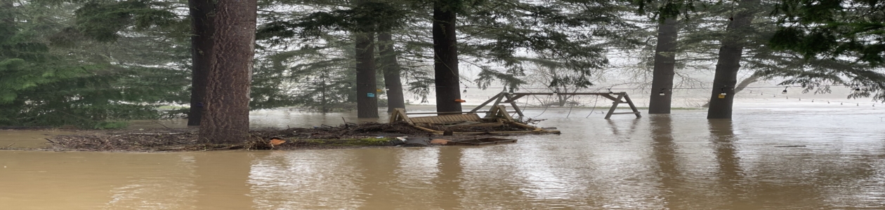 Beware of Hidden Dangers in Receding Flood Water