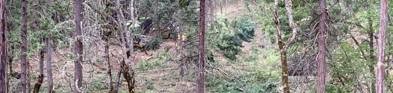 Cow Creek and NRCS Partner to Find Solutions for Healthier Forests