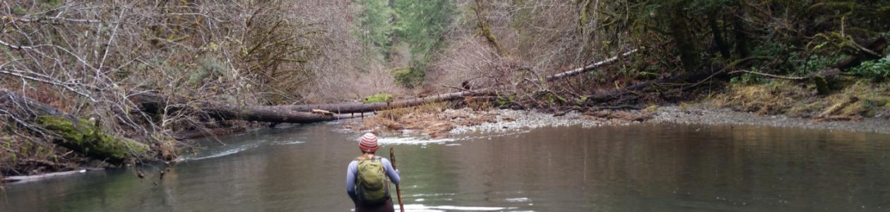 A Bright Future for West Fork Cow Creek Watershed