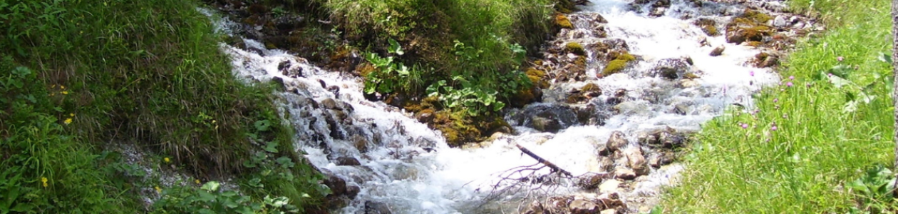 Sites in Oregon Renamed for Cow Creek Umpqua Culture