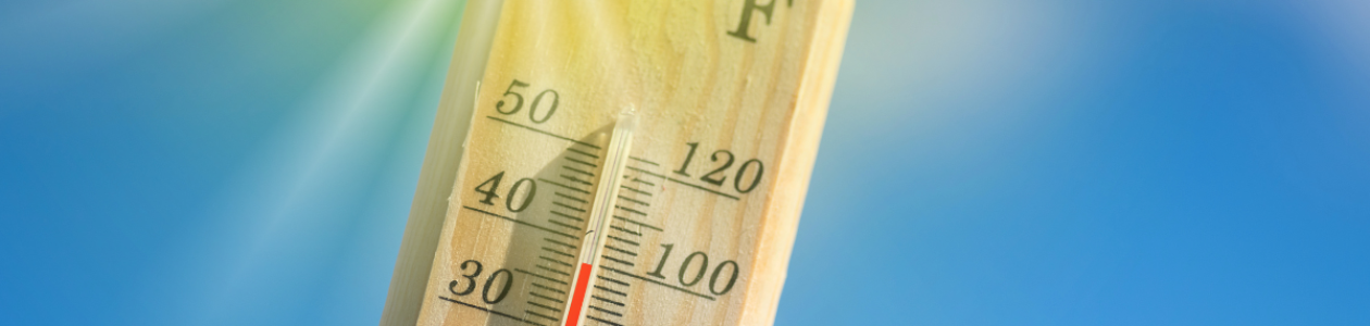 Prepare for Coming Heat Wave in Umpqua Valley