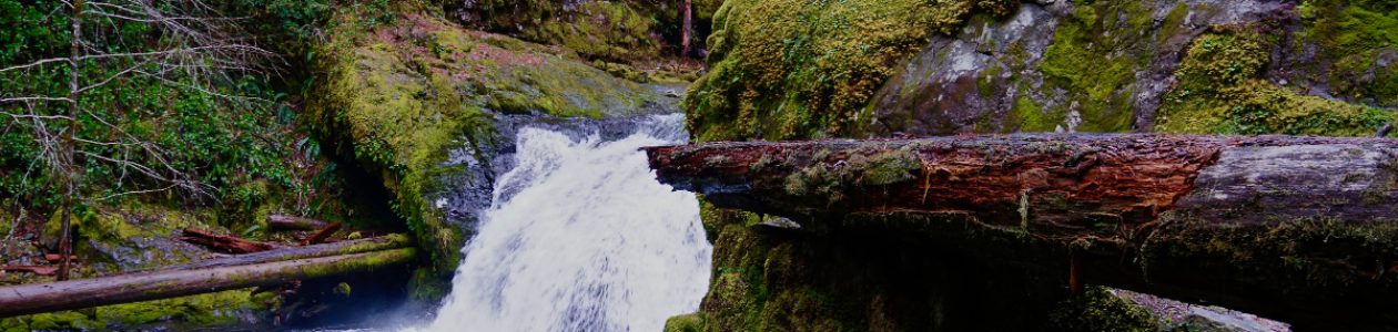 Cow Creek Tribe Signs Co-Management Agreement with Umpqua Nat’l Forest