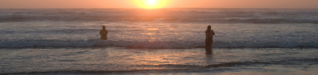 Marine Biotoxin Closures Affect Entire Oregon Coast