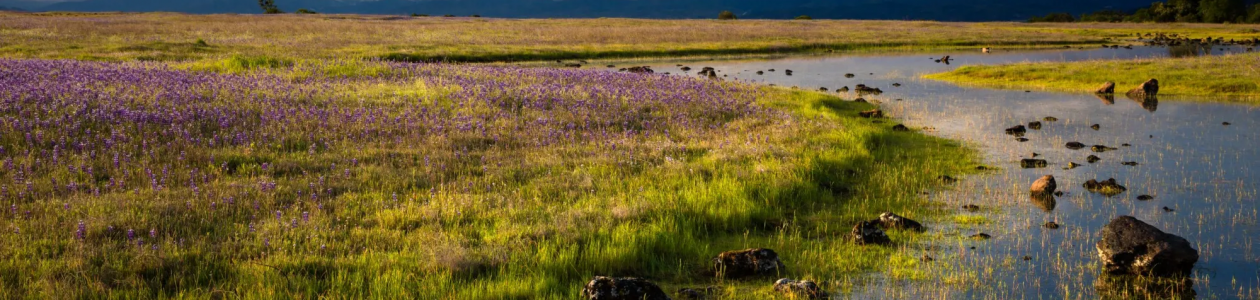 BLM Ruling Opens Doors for Tribal Land Stewardship